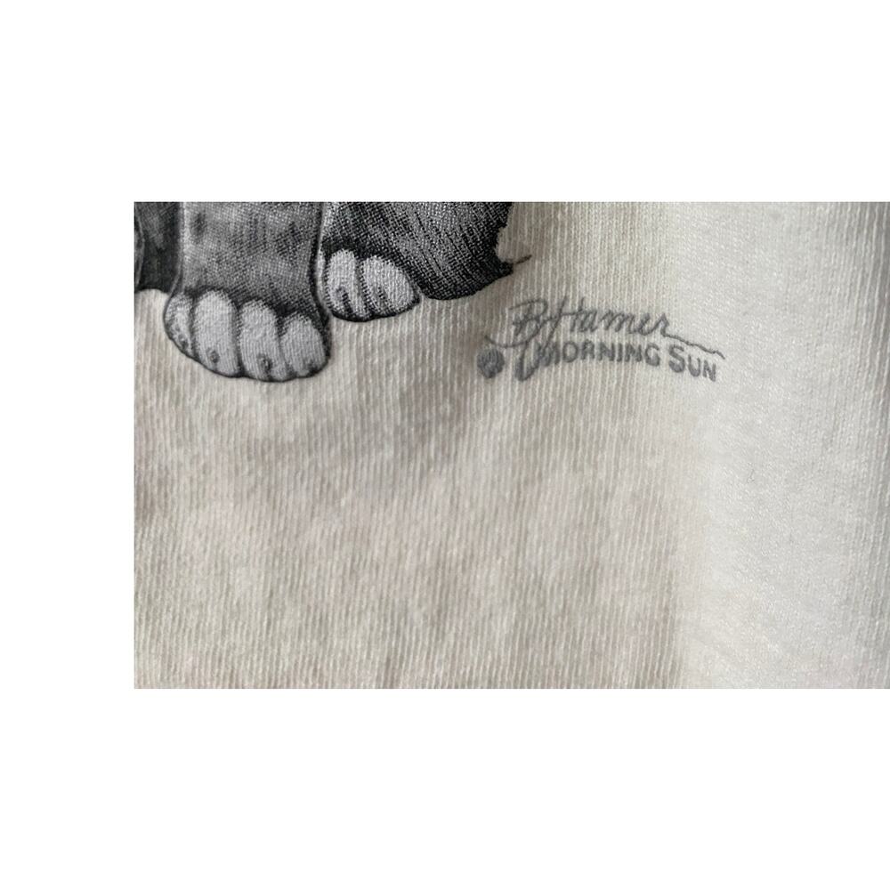 Vintage Morning Sun Ringer Graphic Tee - B. Hamer Artwork - Picture 3 of 6